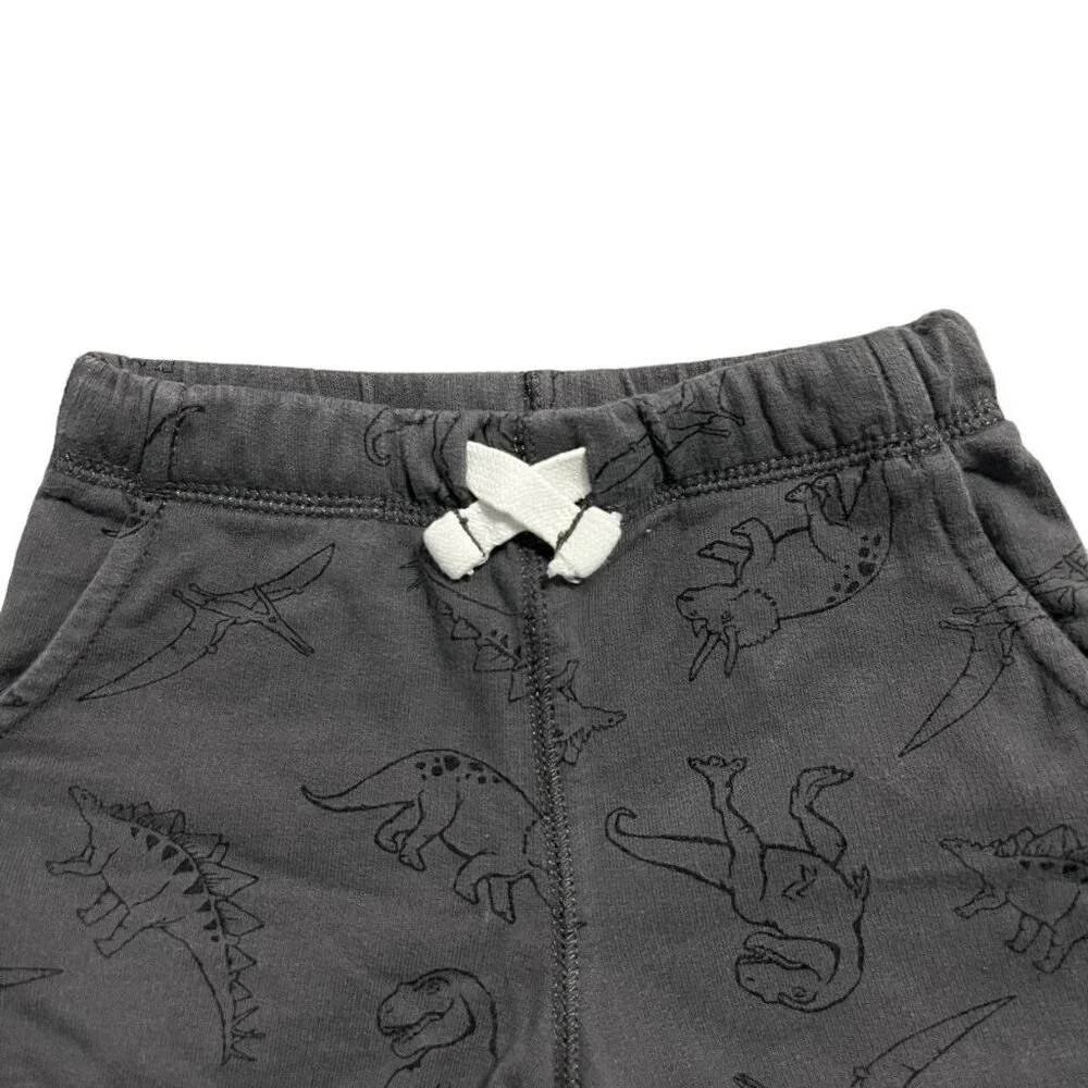 Carter's 2T Grey Dinosaur Shorts